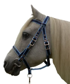 Official Libby's Endurance Bridle Small Pony Pony Cob Full Extra Full Horse